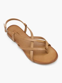 Brown Leather Simple Strapped Sandal